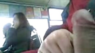 وائٹ ڈیوڈ پرل لیس کے ...