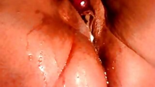 بی بی سی نے لیٹیکس ل ...